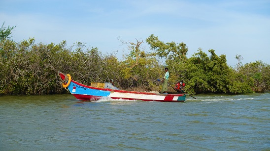 Mangroves at Muthupet, Thiruvarur ©GIZ/Neha Owaisy